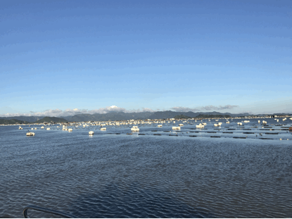 藍(lán)色牧場(chǎng)財(cái)富多——生態(tài)中國(guó)沿海行之福建霞浦海水養(yǎng)殖技術(shù)創(chuàng)新